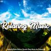 Download track Meditation Relaxing Vibes