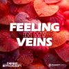 Download track Feeling In My Veins (Extended Mix)