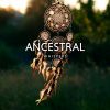 Download track Ancestral Spirits