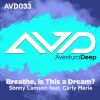 Download track Breathe, Is This A Dream? (Pat The Cat Deeper Dub)