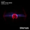 Download track Free Your Mind (Original Mix)