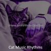 Download track Piano Jazz Soundtrack For Cute Cats