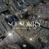 Download track So Sorry (Slowed Mix)