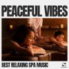 Download track Relaxing Spa Music