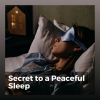 Download track Sleeping Peacefully