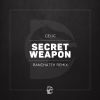 Download track Secret Weapon (Original Mix)