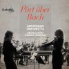 Download track 01. Bach Ich Hatte Viel Bekümmernis, BWV 21, Erster Teil Sinfonia