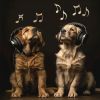 Download track Calm Canine Tones