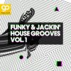 Download track Bring The Funk (Radio-Edit)