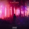 Download track Euphoria (Original Mix)