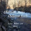 Download track Different Styles Different Feels