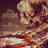 Download track Highest Mountain, Deepest Grave