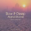 Download track Deeper Asana Reggae Groove