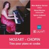 Download track Piano Trio No. 3 In B-Flat Major, K. 502: I. Allegro