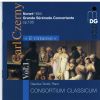 Download track 08. Grande Serenade Concertante, Op. 126 - IV. Finale. Allegro Vivace Con Fuoco