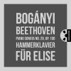Download track Piano Sonata No. 29, Op. 106 Hammerklavier II. Scherzo. Assai Vivace