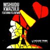 Download track KwaZulu