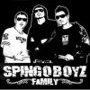 Download track Spingo Boyz Family - 01 - Intro