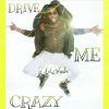 Download track Drive Me Crazy