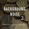 Download track Coins Shuffling Sounds, Pt. 1