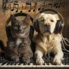 Download track Animal Melodic Calm