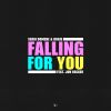 Download track Falling For You