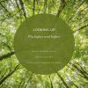 Download track Forest Symphony