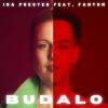 Download track Budalo