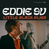 Download track Little Black Flies