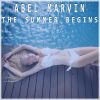 Download track The Summer Begins (Groovappella)