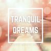 Download track Tranquil Keys