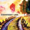 Download track Strawberry Lane