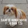 Download track Fluchtweg Des Hundes