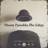 Download track Phwan Pyawkha Pho Sokay