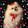 Download track Vibrant Ambience For Cute Dogs