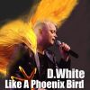 Download track Like A Phoenix Bird