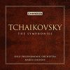 Download track Symphony No. 6 In B Minor, Op. 74 'Pathétique': IV. Finale. Adagio Lamentoso