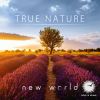 Download track True Nature