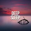 Download track Sleep Meditation