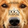 Download track A Dog's Purpose