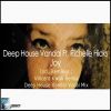 Download track Joy (Deep House Vandal Vocal Mix)