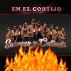 Download track Conga Y Timbal / La Colegiala / La Guaracha Sabrosona / La Pollera Colora