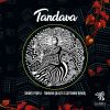 Download track Tandava (Blazy And Gottinari Remix)