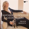 Download track La Stravaganza, Op. 4: Violin Concerto No. 6 In G Minor, RV 316a: I. Allegro (Transcr. For Piccolo Trumpet And Baroque Orchestra By Simon Wright)