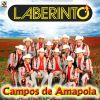 Download track Campos De Amapola