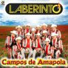 Download track Los Super Capos