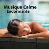 Download track Vagues Et Musique Calme Endormante