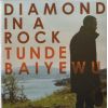 Download track Diamond In A Rock