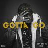 Download track Gotta Go (Acapella) (Acapella)