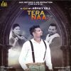 Download track Tera Naa